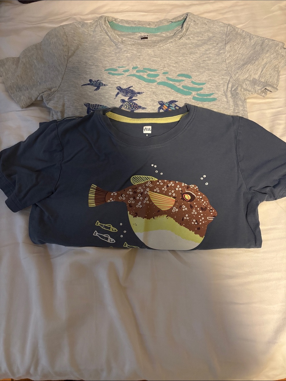 Tea Collection Short Sleeves (8 Years)